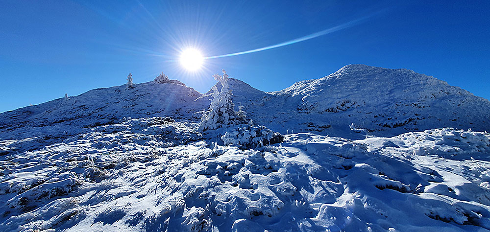 Iarna pe Muntele Ciucas